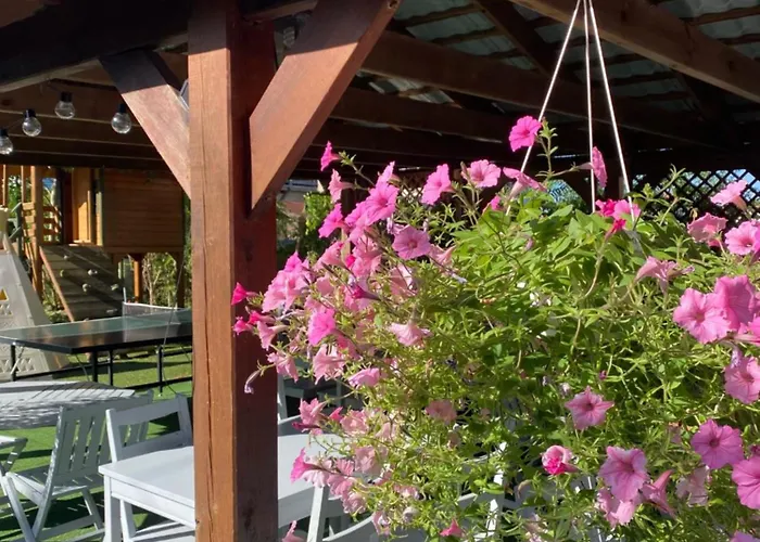 Polaris - - Bez Aneksu Kuchennego * Krynica Morska